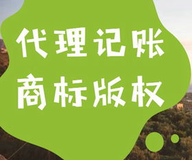 錦江區代理記賬及代辦服務收費標準與內容詳解
